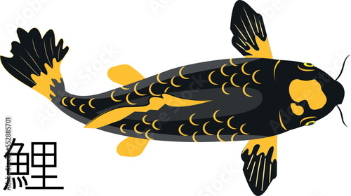 Koi black,Japanese koi the pearl of an ornamental pond