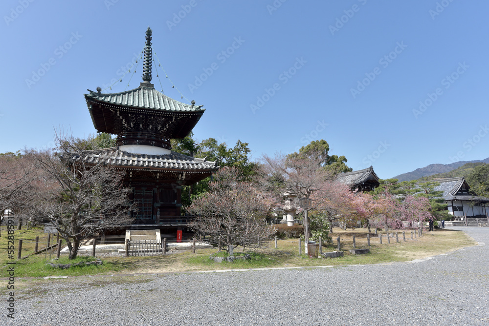 清涼寺　境内　京都市右京区嵯峨