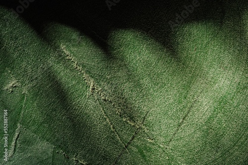 Illumination of a dark green background with several light sources. Abstract texture wall