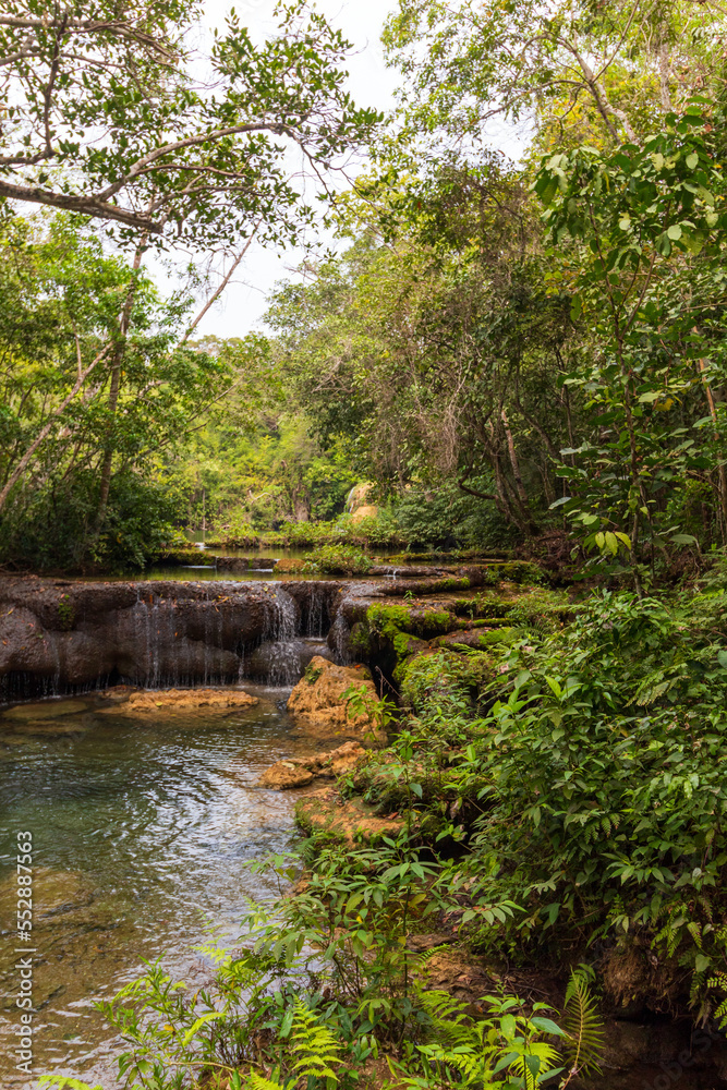 waterfall in the forest   city of Bonito, Mato Grosso do Sul Brazil Pantanal