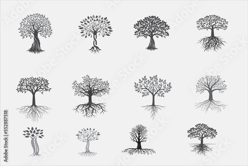 tree of roots