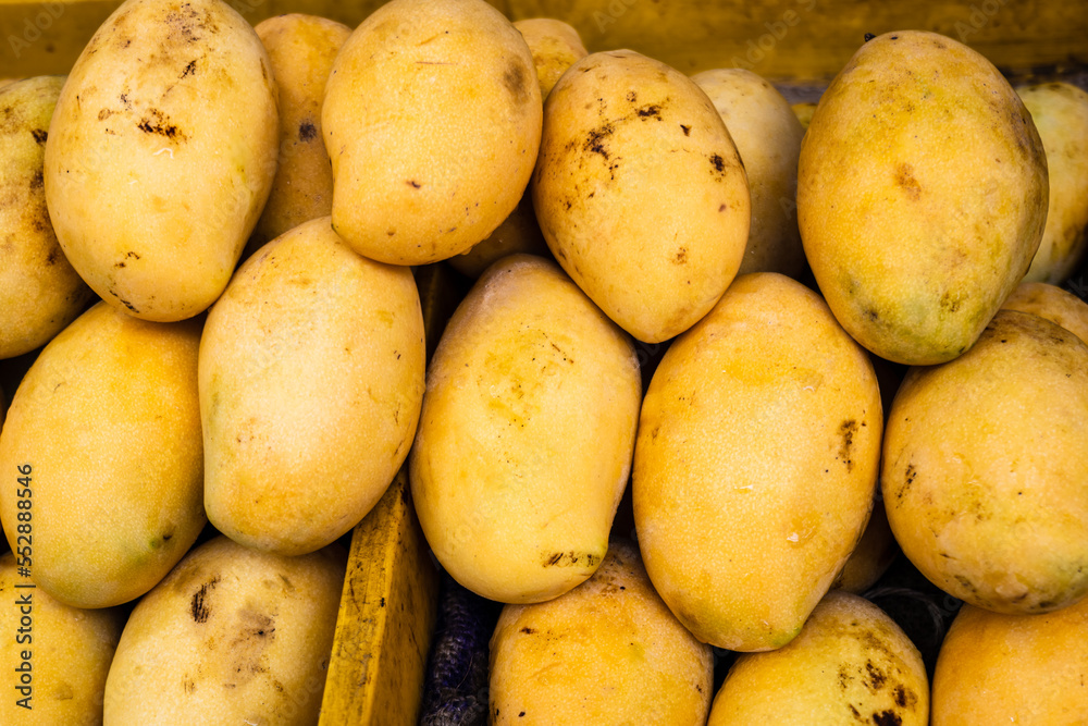 Mango, a photo of fresh yellow mango pile on market table. Ripe tropical fruit closeup. Asian fruit market stall in Thailand
Mango, a photo of fresh yellow mango pile on market table. Ripe tropical fruit closeup. Asian fruit market stall in Thailand