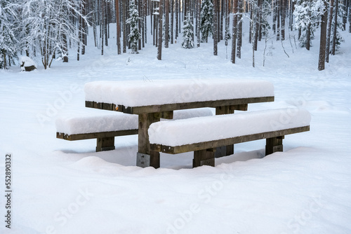 A deep, heavy layer of untouched, fresh, fluffy white snow covers the picnic tables and benches in the nature park