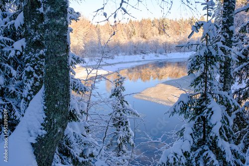 landscape with river in winter, river bank surrounded by trees, ice on the river, winter day, Gauja National Park. Latvia