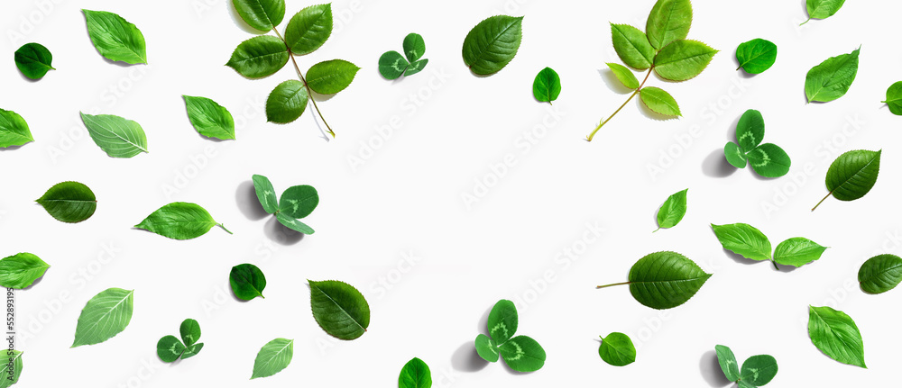 Green leaf frame design background - flat lay Green leaf frame design background - flat lay