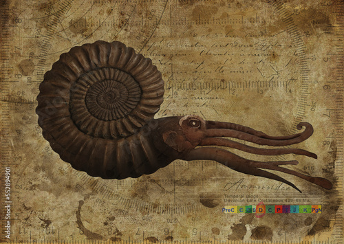 Ammonoidea, Ammonites Art Study Old Textured Paper Vintage Geometrical Poster photo