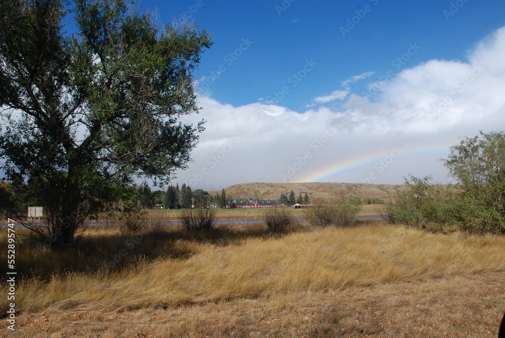 Summer rainbow over a ranch 