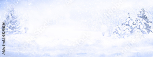Winter Christmas scenic background with copy space. © Thaut Images