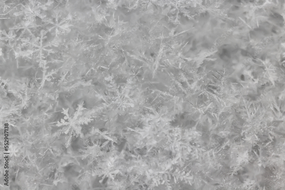 ice snow crystals background abstract white winter ice snow crystals background abstract white winter