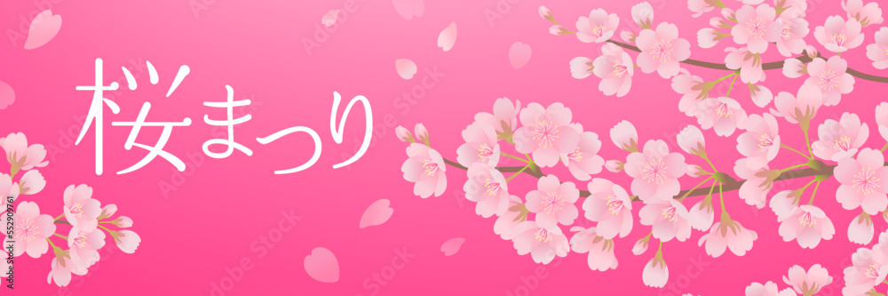 美しい桜のバナー素材（3：1）_ベクターイラスト