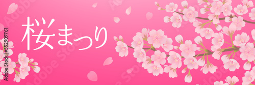 美しい桜のバナー素材（3：1）_ベクターイラスト