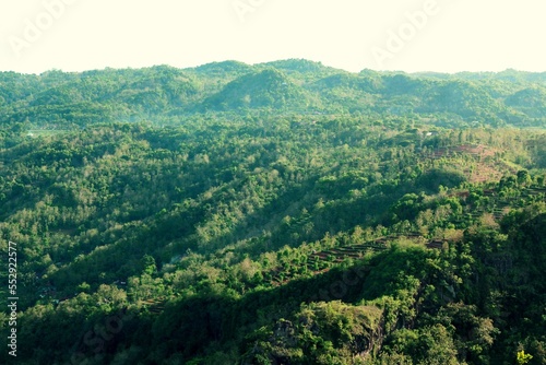 Green Forest Hills in Indonesia, Yogyakarta, Kebun Buah Mangunan