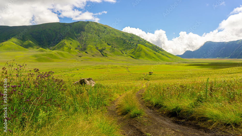Fototapeta premium Mount Bromo National Park, east Java, Indonesia