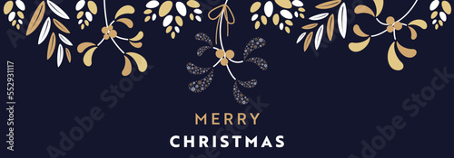 雪の結晶で作られたヤドリギをモチーフにしたクリスマスバナーフレームテンプレート（青）　Christmas banner frame template featuring mistletoe made of snowflakes (blue)
