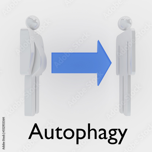 Autophagy - health concept photo