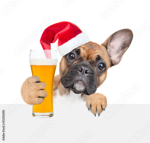 Funny french bulldog puppy wearing red santa hat holds beer and looks above empty white banner. isolated on white background © Ermolaev Alexandr