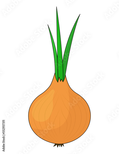 Onion. A whole onion with green feathers. Flat simple design. Isolated on a white background.