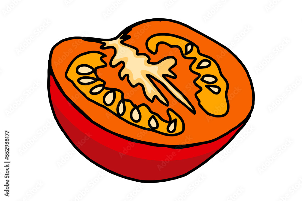 Food - Tomato Fruit Vector Food - Tomato Fruit Vector