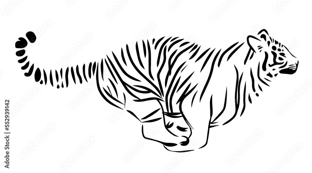 Running tiger line illustration Running tiger line illustration