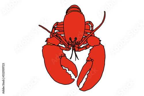 Big Red Lobster