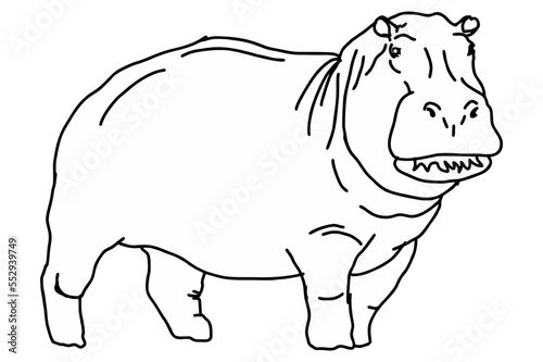 Big hippopotamus