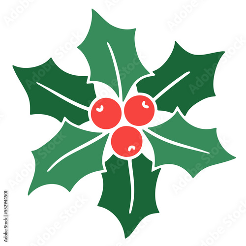 Christmas holly leaves and berries