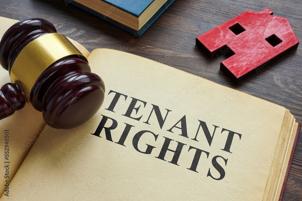 Book about Tenant rights and model of house. Book about Tenant rights and model of house.