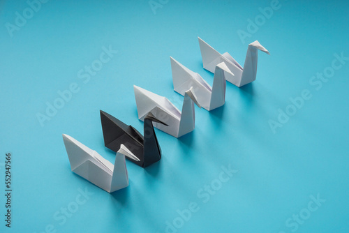 Fototapeta Naklejka Na Ścianę i Meble -  Paper swans, whites and different one as concept of black swan theory.