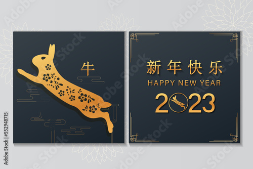 happy new year of the rabbit written in Chinese character, paper art style with elegant flowers and hanging lanterns