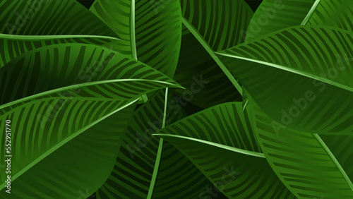 green tropical leaves background