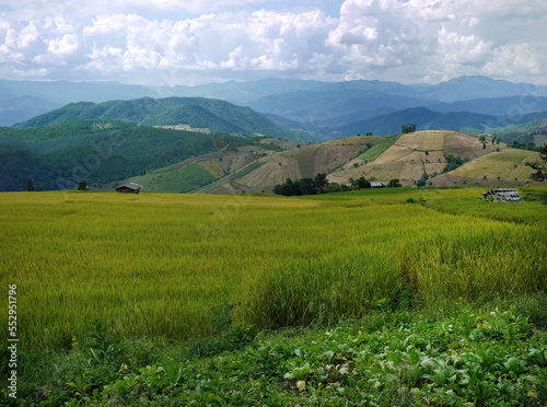 Landscape panorama of Thai, terraced rice fields of Chiangmai province. Spectacular rice fields across mountainside, wallpaper