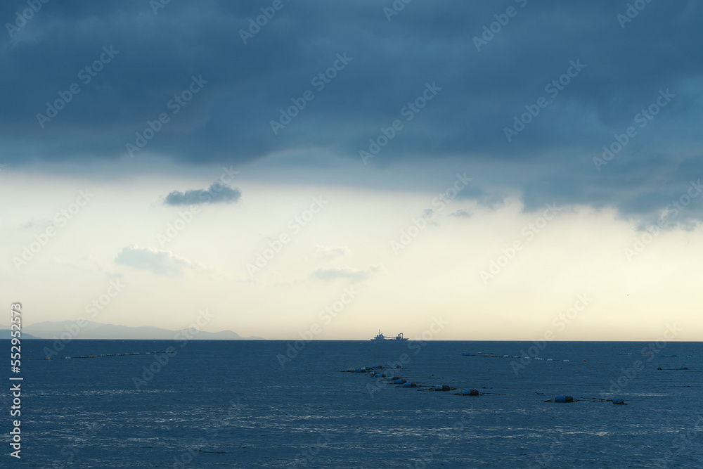 海 海
