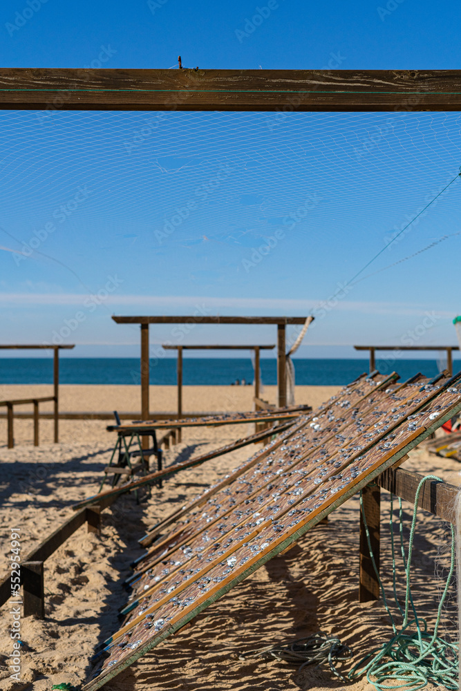 Dried fish in the open air. Traditional seafood drying in the fishing village of Nazare on the shores of the Atlantic Ocean, Portugal.