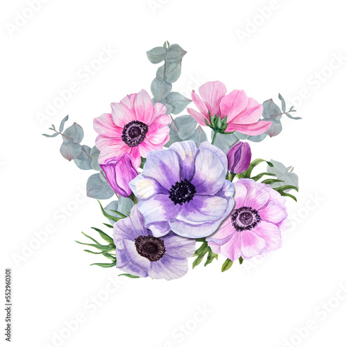 Anemones with eucalyptus isolated on a white background. Watercolor illustration. For Valentine day, wedding invitation, birthday and mother day cards, poster, textile design, cover, prints, pattern