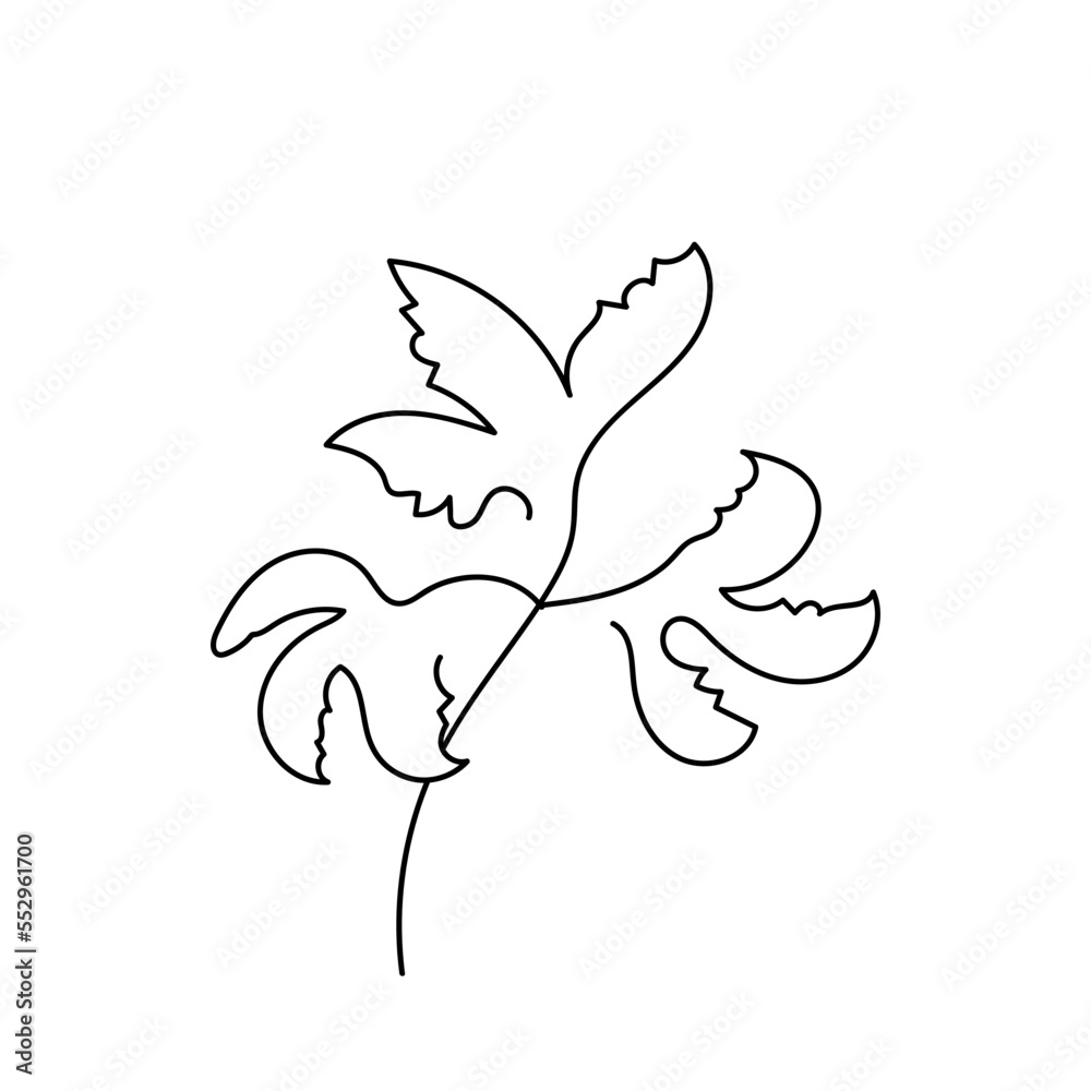 Fototapeta premium abstract leaf single line hand drawn element
