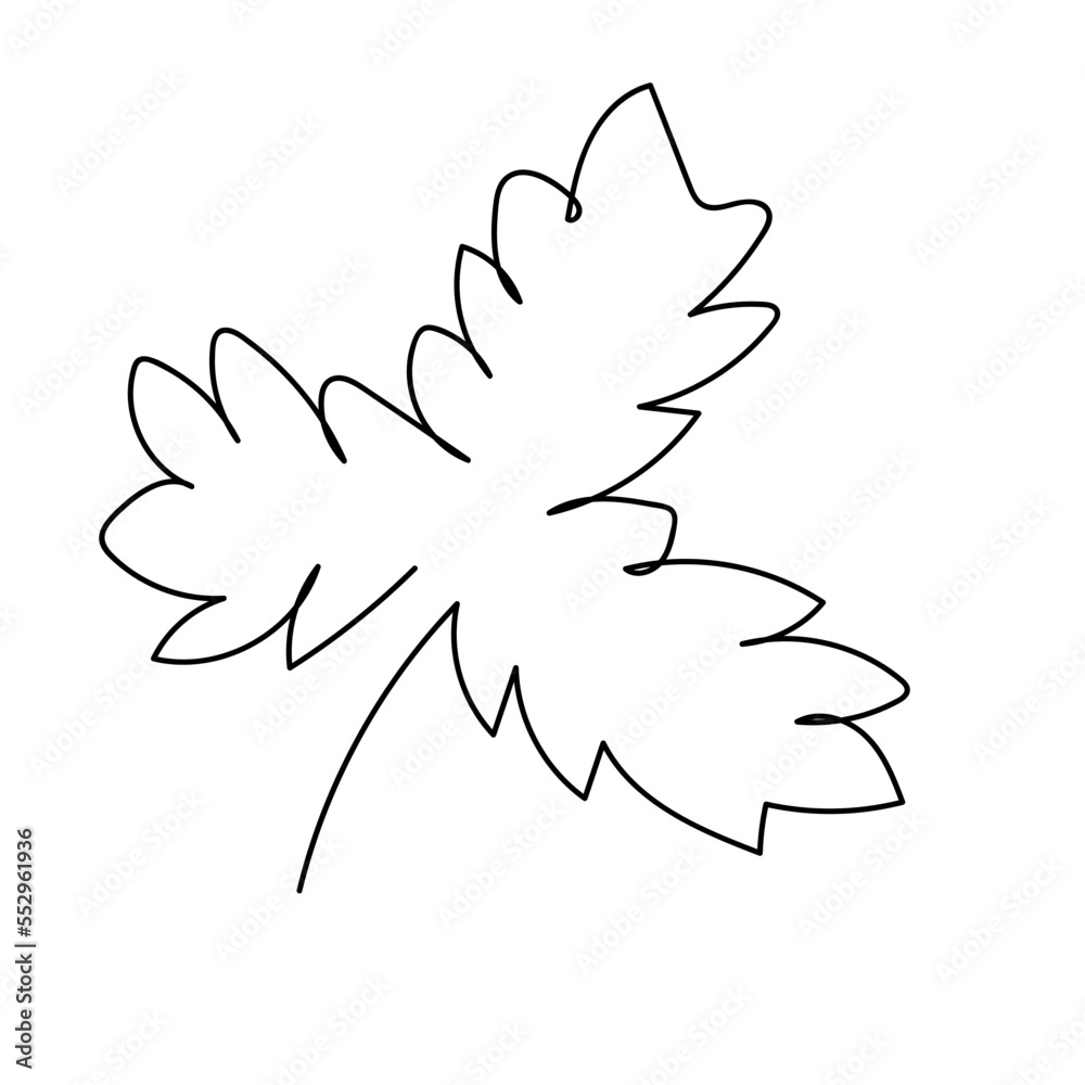 abstract leaf single line hand drawn element abstract leaf single line hand drawn element