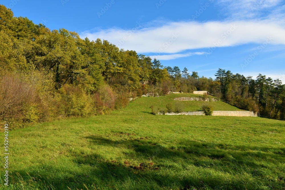 Meadow at Karst plateau in Primorska, Slovenia with a summer forest at the edge - obrazy, fototapety, plakaty 