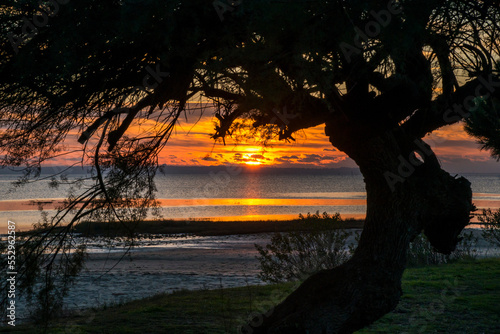 Coucher de soleil et reflet sur le bassin d'Arcachon photo