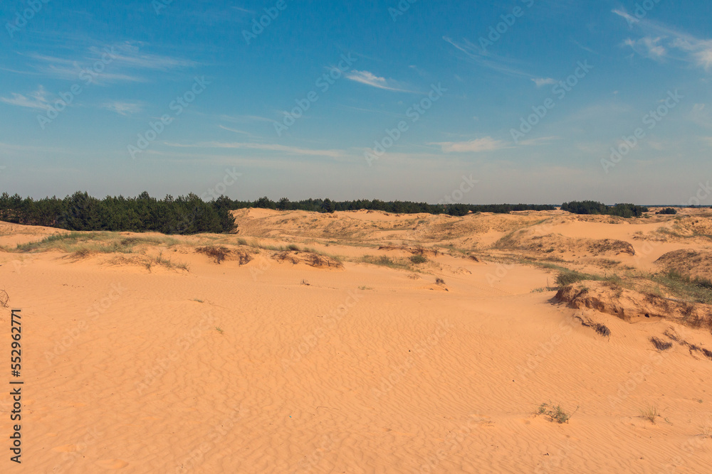 View of the Oleshkiv sands - the Ukrainian desert near the city of Kherson. Ukraine View of the Oleshkiv sands - the Ukrainian desert near the city of Kherson. Ukraine