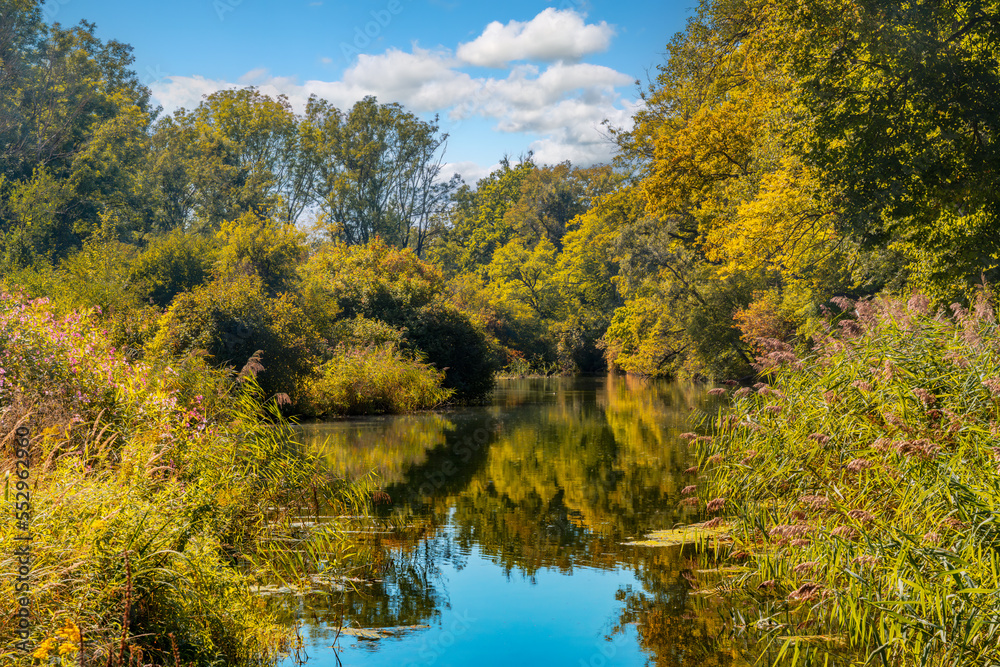 Fototapeta premium Autumn landscape with an idyllic lake