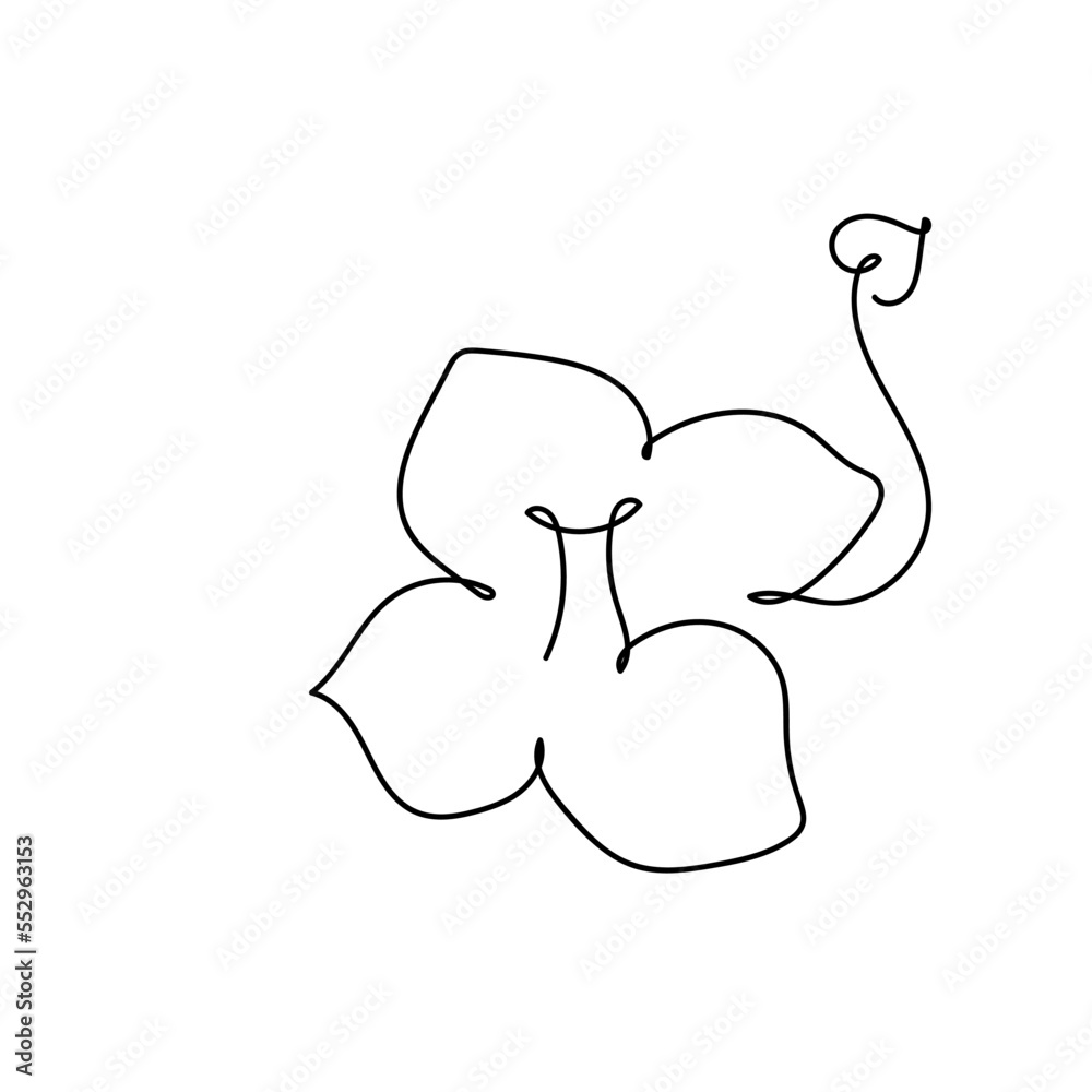 abstract flower single line hand drawn element abstract flower single line hand drawn element