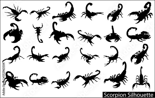 A collection of silhouettes of scorpions © unique design team