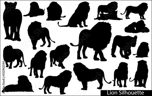 African lion silhouettes set. Vector illustration.