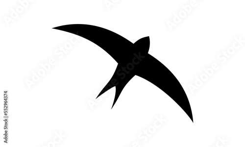 swallow bird vector logo