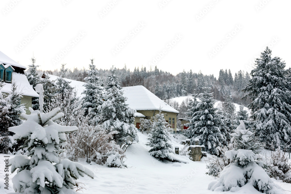 Winter landscape in the mountains