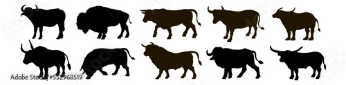Large wild animal buffalo  black and white image. Vector drawing.