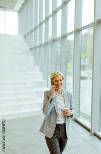 Businesswoman using mobile ...