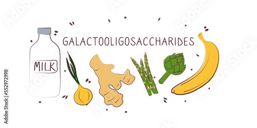 Galactooligosaccharides-containing food. Groups of healthy products containing vitamins and minerals. Set of fruits, vegetables, meats, fish and dairy