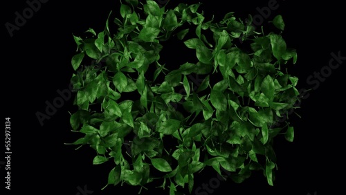 Video leaves of a tree are going to a house with an alpha channel