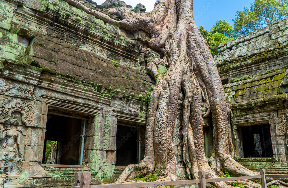 Ancient Khmer ruins at Ta Prohm Temple at Angkor Wat, Cambodia Ancient Khmer ruins at Ta Prohm Temple at Angkor Wat, Cambodia